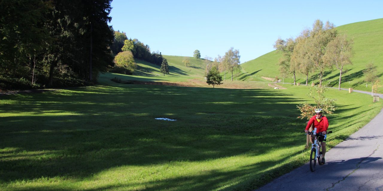 Auf und ab am Zimmerberg