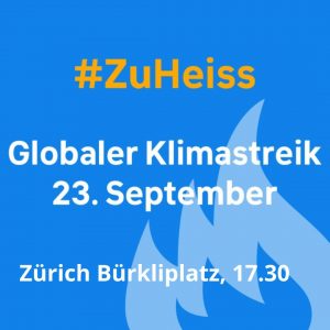 Globaler Klimastreik 23. September in Zürich
