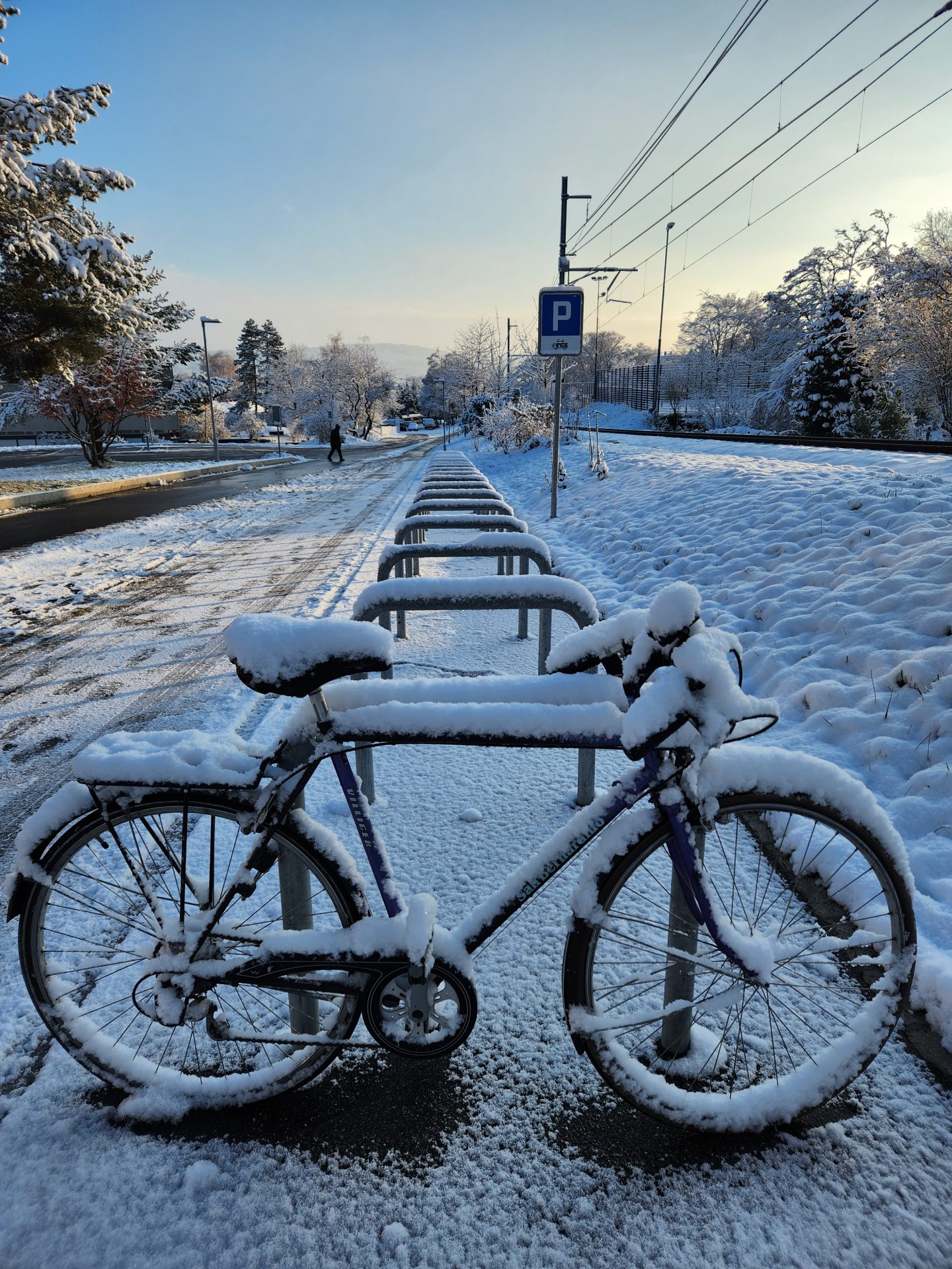 Winter Bike to Work Day: Schnee